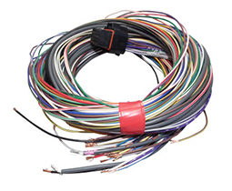 Looms & Wiring - G4X - G4+