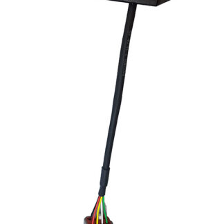 E-throttle (RET)